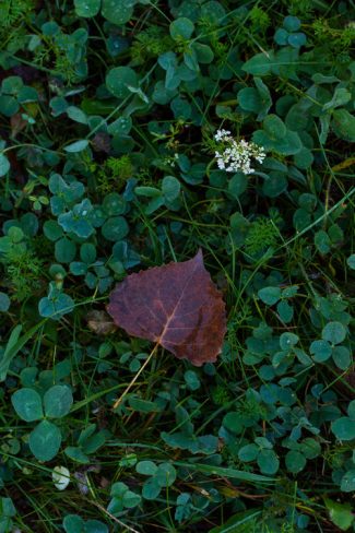 Choose a low iso to avoid noise